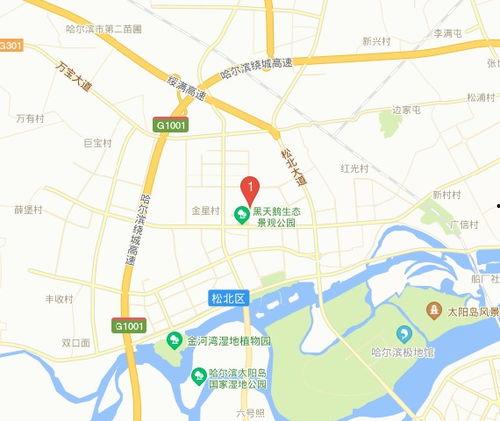 哈尔滨松北区最新爆料,揭秘神秘项目背后的真相  第1张